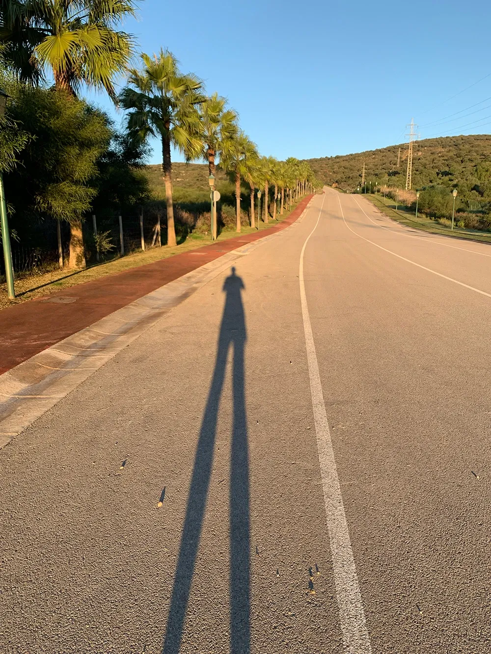 Morning stillness on the road